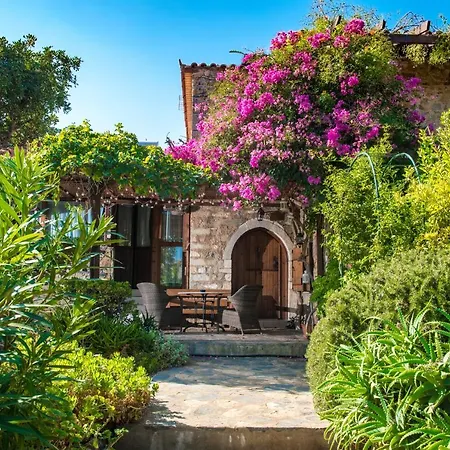 Serenity Estate Villa *